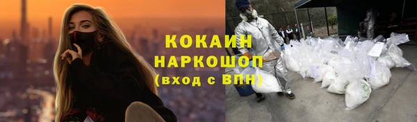 крисы Верея