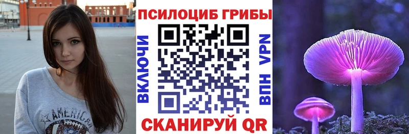 Псилоцибиновые грибы MAGIC MUSHROOMS  Купить  Кувшиново 