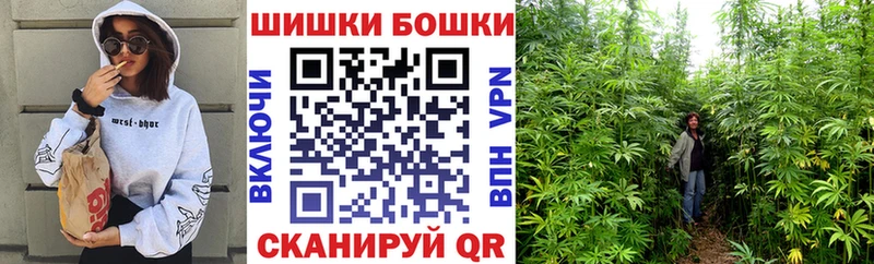 Купить закладки  Кувшиново  Конопля SATIVA & INDICA 
